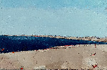 Seacoast 6